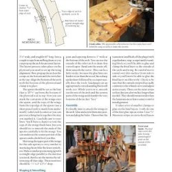 Complementary Curves -WARCO SHOP page 4 4