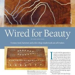 Wired For Beauty