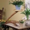Freeform Plant Stand -WARCO SHOP photo large 6