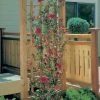 Rose-Covered Trellis 1 Rose-Covered Trellis -WARCO SHOP photo large hd 260