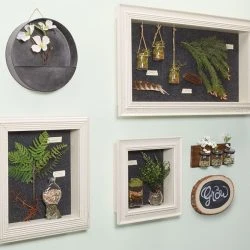 Shadow Boxes